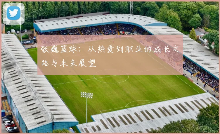 张巍篮球：从热爱到职业的成长之路与未来展望