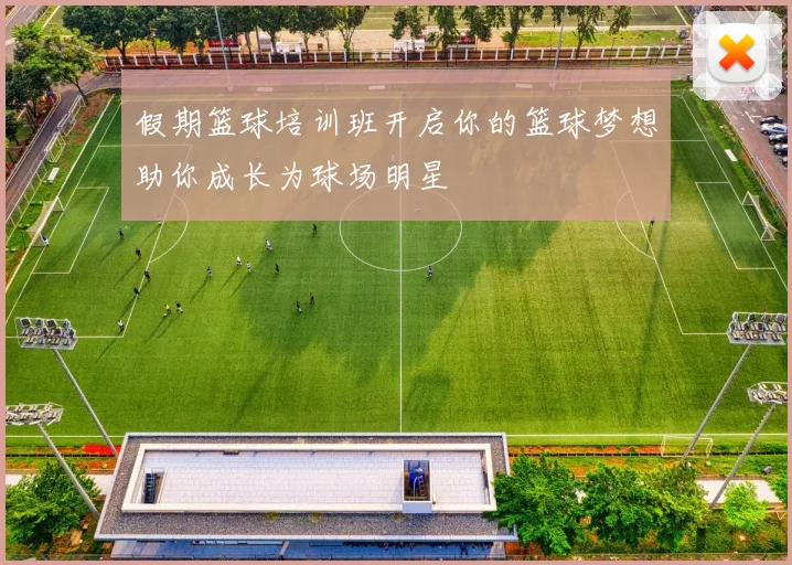 假期篮球培训班开启你的篮球梦想助你成长为球场明星