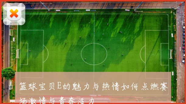 篮球宝贝E的魅力与热情如何点燃赛场激情与青春活力