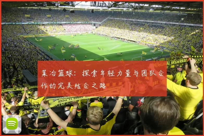 莱冶篮球：探索年轻力量与团队合作的完美结合之路