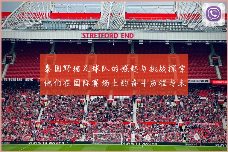 泰国野猪足球队的崛起与挑战探索他们在国际赛场上的奋斗历程与未来展望