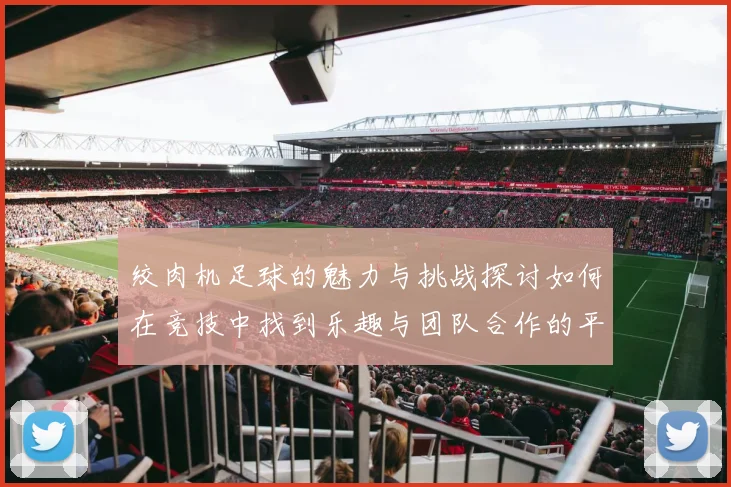 绞肉机足球的魅力与挑战探讨如何在竞技中找到乐趣与团队合作的平衡