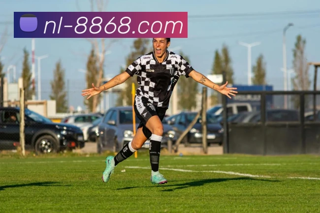 8868体育平台生态图